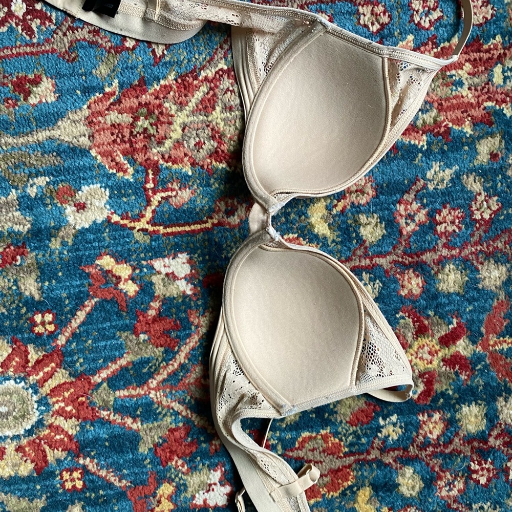 Pepper 34b Lace Bra - Picture 4 of 5